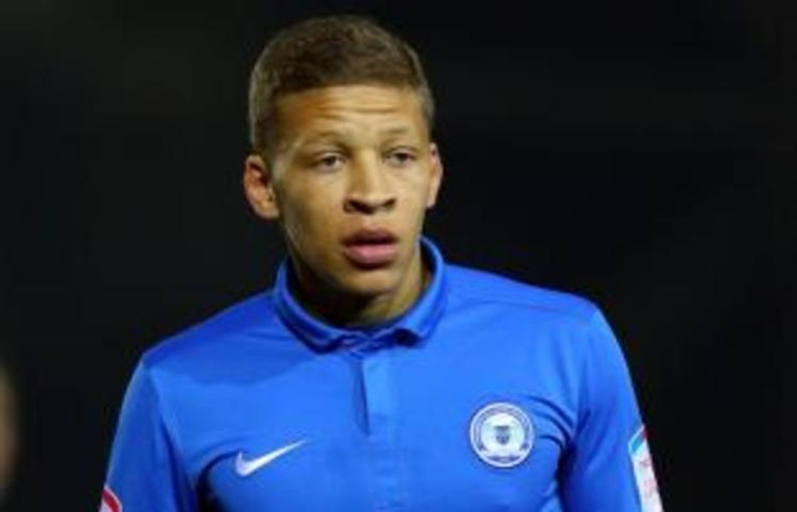 Exclusive - Crystal Palace new boy Dwight Gayle tipped to earn England call