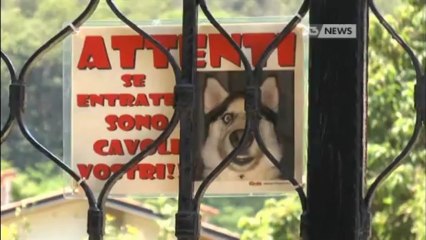 ANZIANA PICCHIATA, CACCIA AI BANDITI