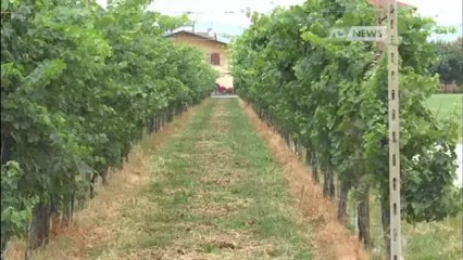 1600 CITTADINI CONTRO IL PAT