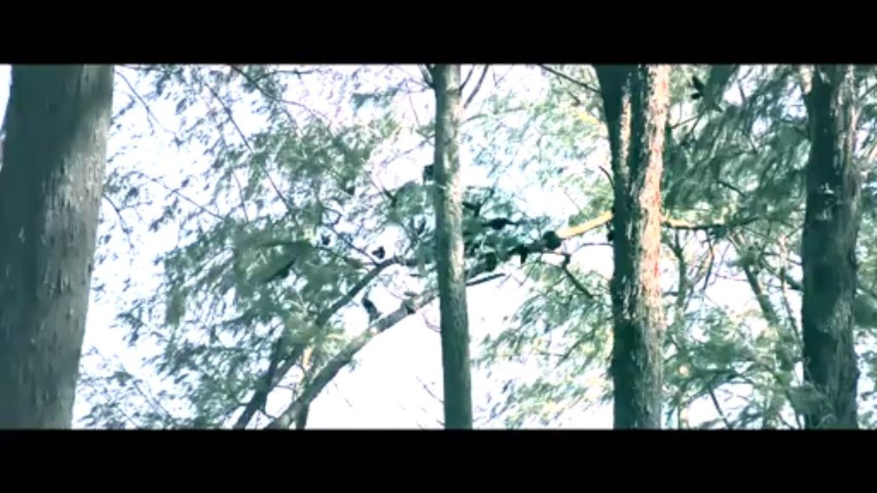 SATAN - Yo Yo Honey Singh - Full Song HD - S.A.T.A.N - 12.12.12 - YouTube