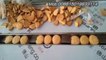 biscuit packing machine ,flow pack biscuit packaging