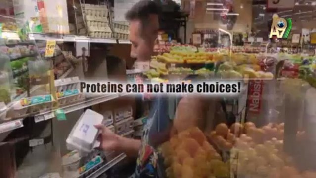 The Building Blocks of Living Beings: Proteins