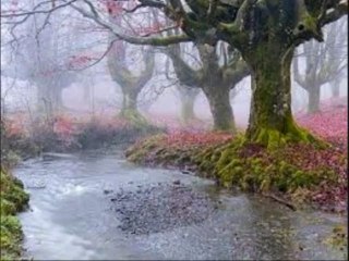 MEU BARQUINHO NÃO AFUNDOU PORQUE JESUS ESTA NELE