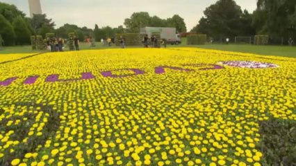 Nuova maglia fatta con i fiori, a Dortmund si può