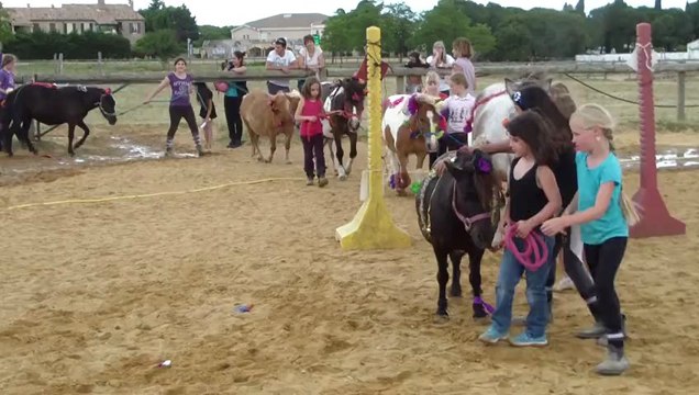 Concours déco poneys juin 2013