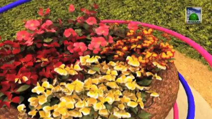 Useful Information 55 - Aakhir Maut Hai - Haji Mushtaq Attari