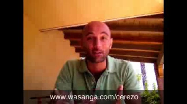 Cual es el mejor multinivel