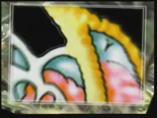 The Miracle in Birds 6/6 http://miracleintheatom.imanisiteler.com