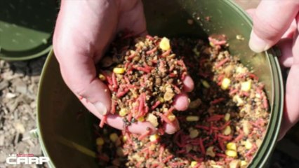 BIG CARP from small waters - top tactics