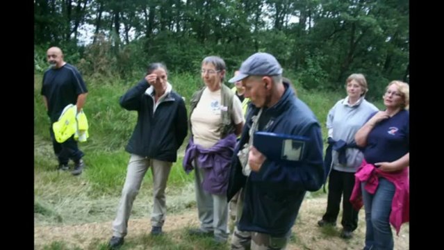 RECHERCHE UTILITAIRE A TOULOUSE PAR cani sport 33