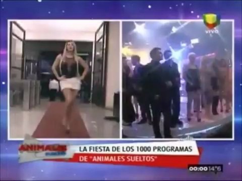 Fiesta de los 1000 programas de Animales Sueltos