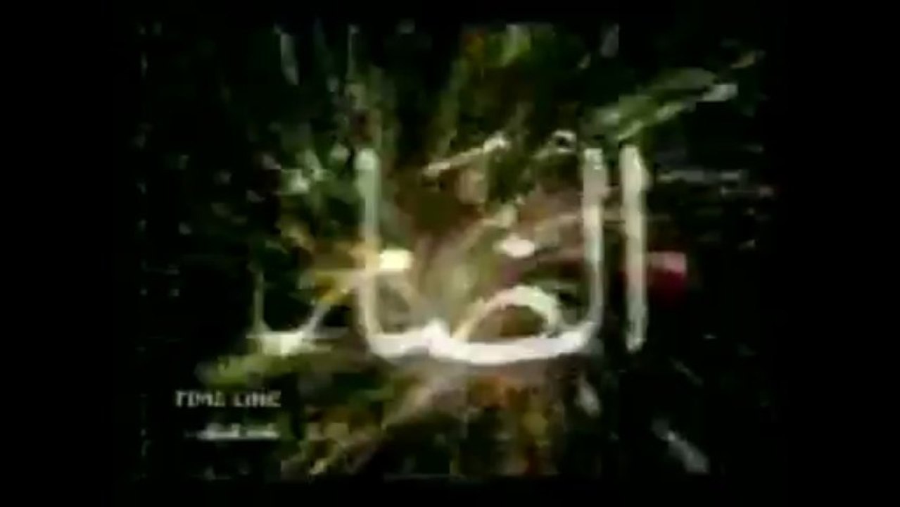 ALLAH Asma ul Husna
