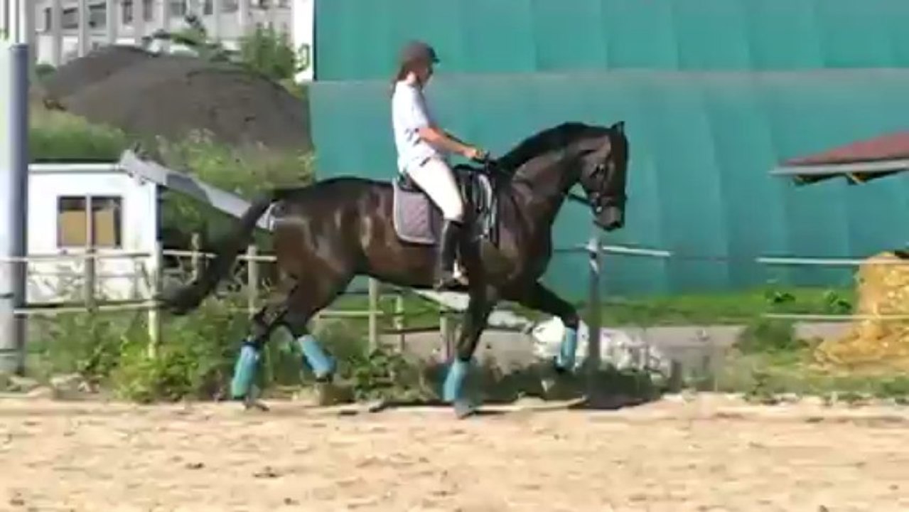 MOV0DC