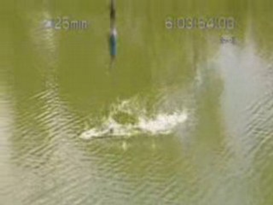 Saut a l'élastique