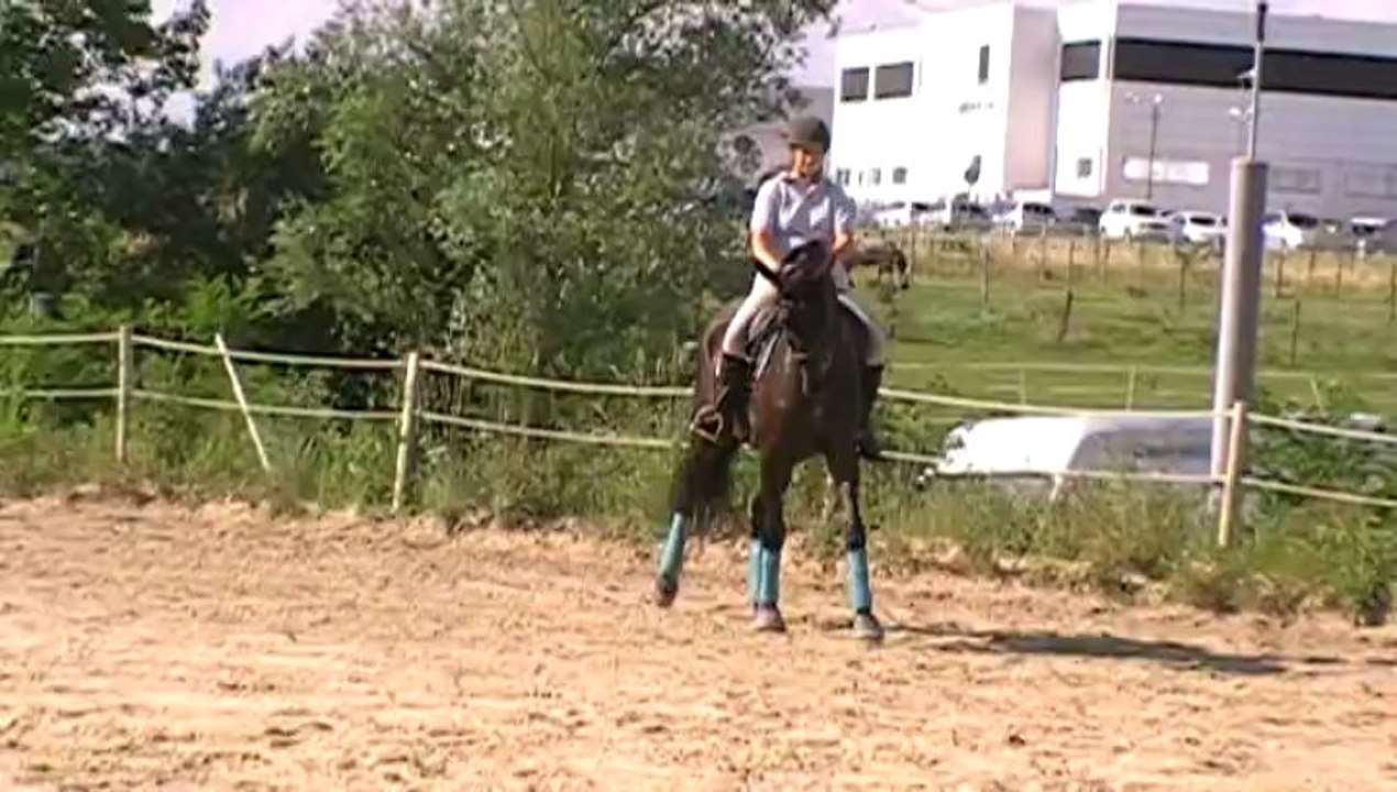 MOV0DD