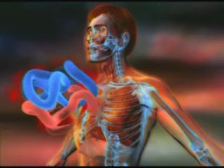 The Miracle of Respiration 5/6 www.harunyahya.com