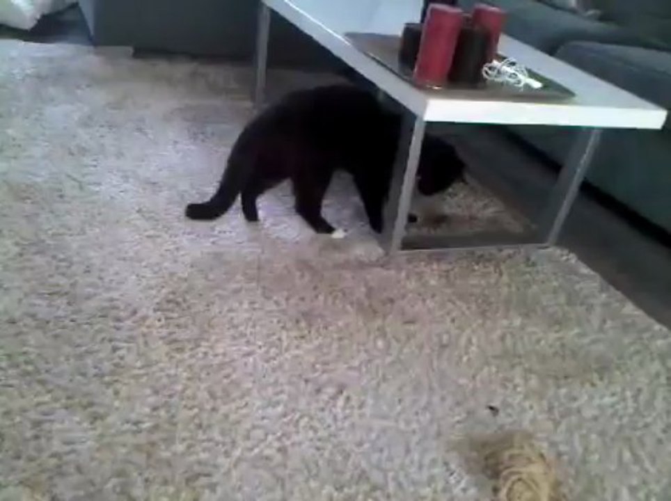 attack