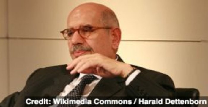 Mohamed ElBaradei: Egypt's New Prime Minister?