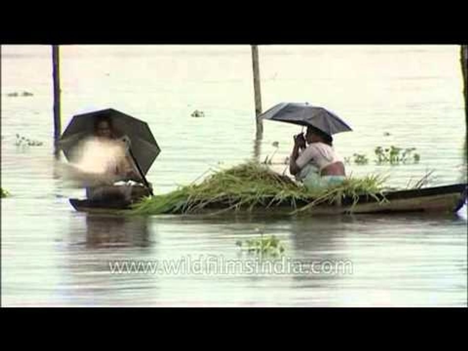 Lone boat in Kerala Backwaters