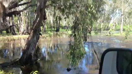 Kakadu - route inondee