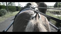 Balade à cheval - Notre Dame de Monts