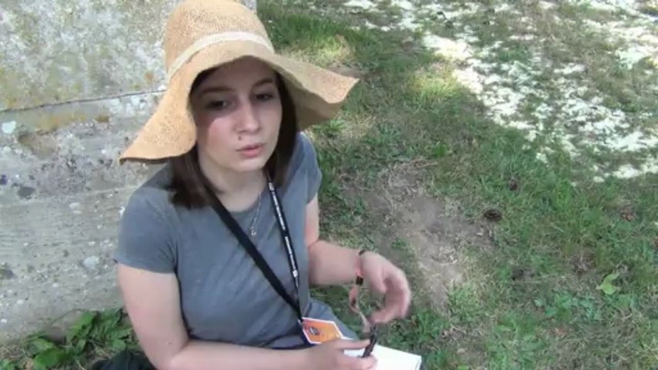 Marion, Blogueuse, au festival Beauregard