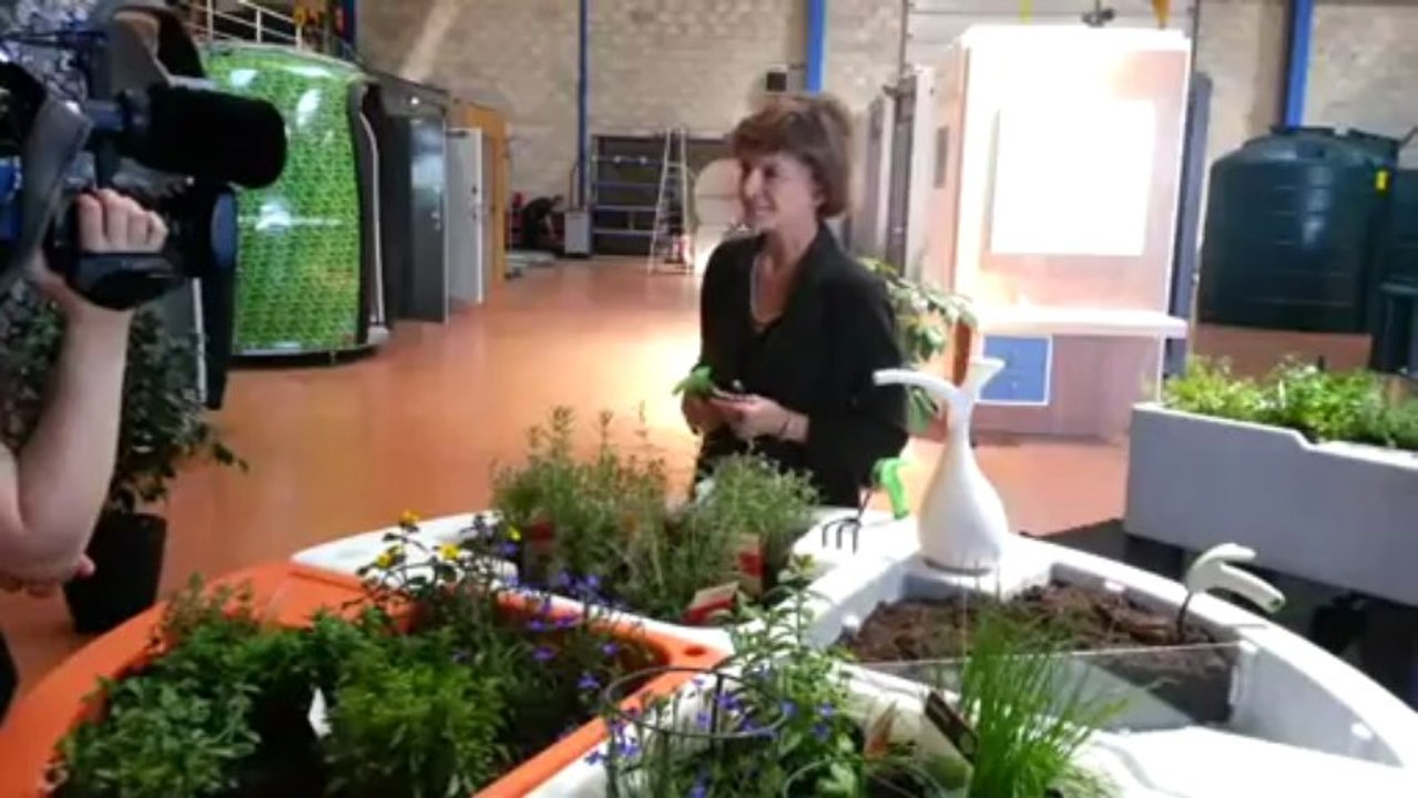 Interview Ministre Delaunay 11 juin 2013 Verdurable part1