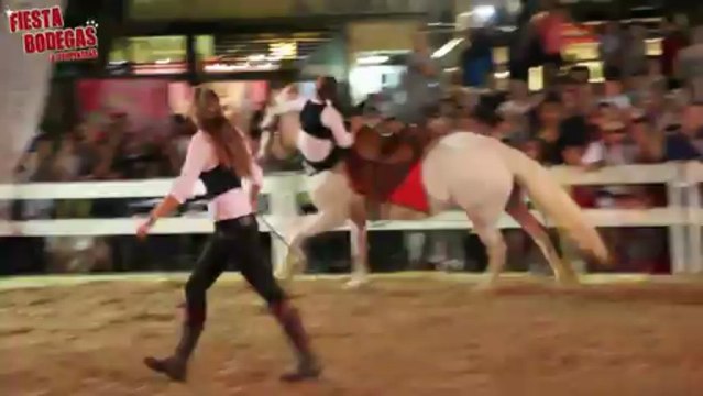 Fiesta Bodegas 2013 - Voltéo