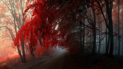 Beautiful Piano Music - Time to Let Go