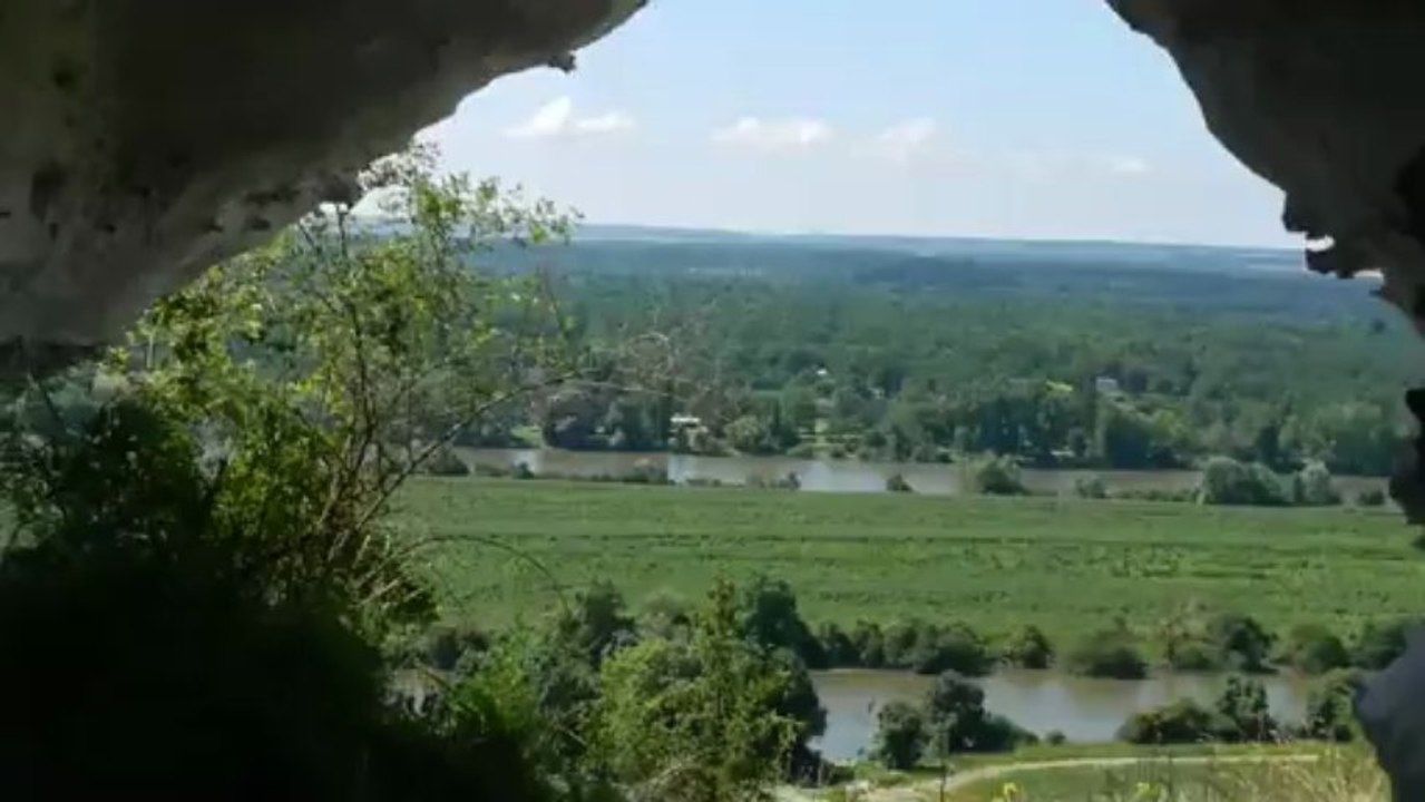 DSCN3600