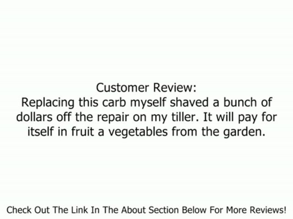 Briggs & Stratton 591299 Carburetor Replaces 798650, 698474, 791991 Review