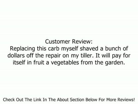 Briggs & Stratton 591299 Carburetor Replaces 798650, 698474, 791991 Review