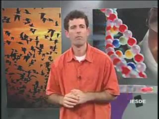 BIOLOGIA AULA 10 - INTERFASE, MITOSE E MEIOSE Parte 3  - YouTube