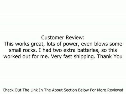 Black & Decker NSW18B 18-Volt NiCad Cordless Blower/Sweeper (Tool Only, No Battery) Review