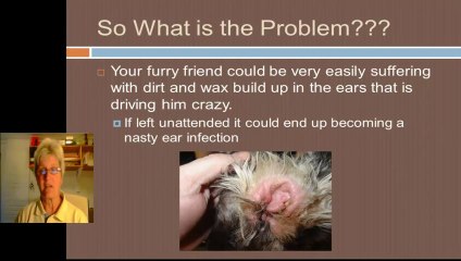 Dog Ear Cleanser That Is That is Simply The Best