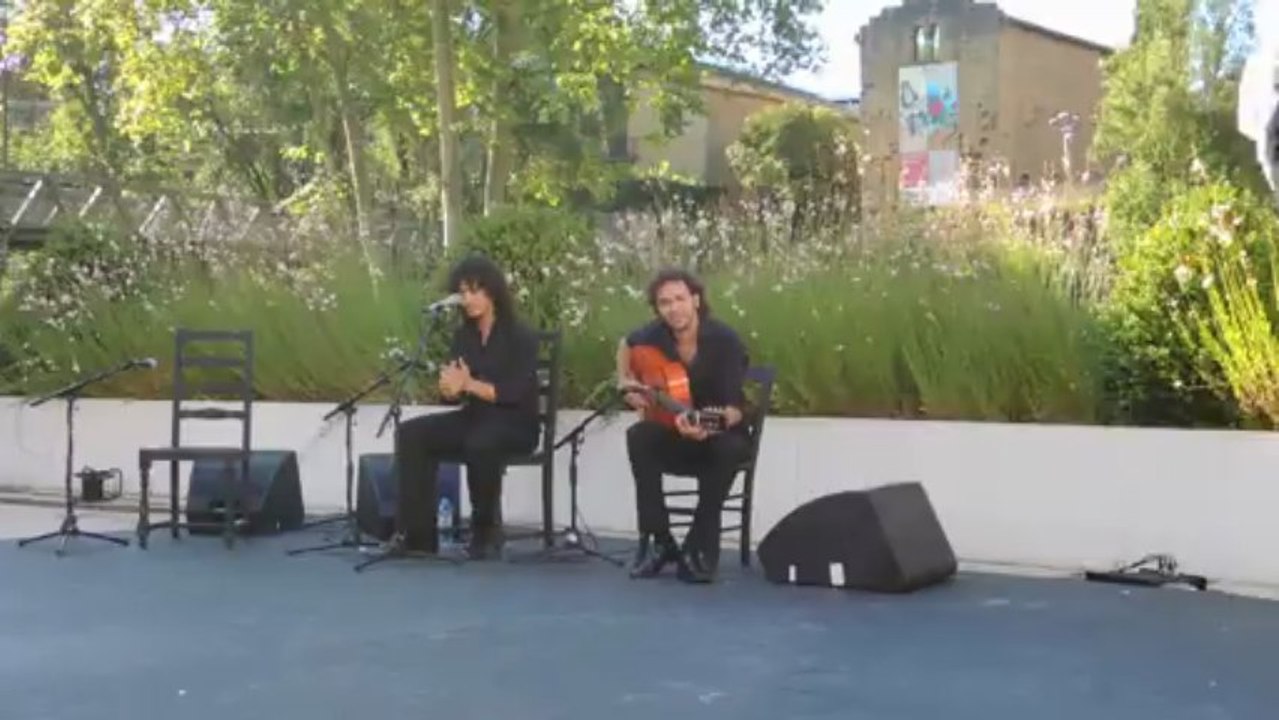 Flamenco Jesus Carmona