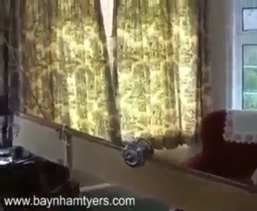 Amazing Engineering