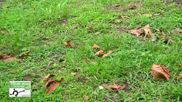 TOUS AVEC MA SELECTION - 0307 JOHAN GOBIN