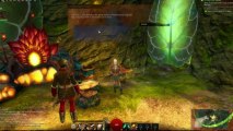 Guild Wars 2 - Sylvari Storyline Part 2