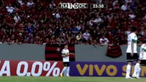 Campeonato Brasileiro - Un supporter péte les plombs