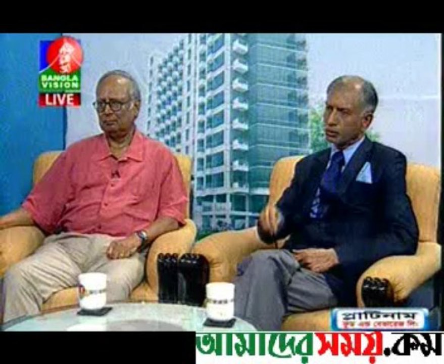 Bangla Vision (AAMSA AREFIN)