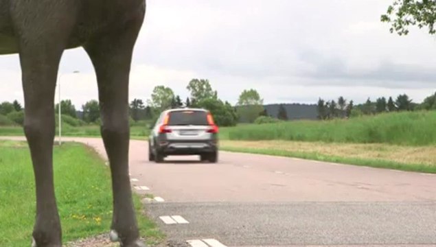 Volvo Car Group reveals world-class safety and support features for upcoming car generations