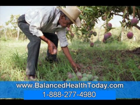 Heavy Metal Detox, Calcification Removal from Body