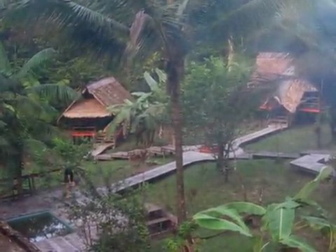 En forêt guyanaise