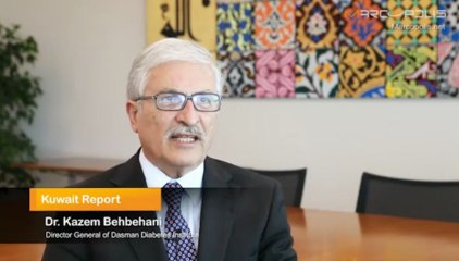 Primary Health Care in Kuwait: Efficiency and Optimization