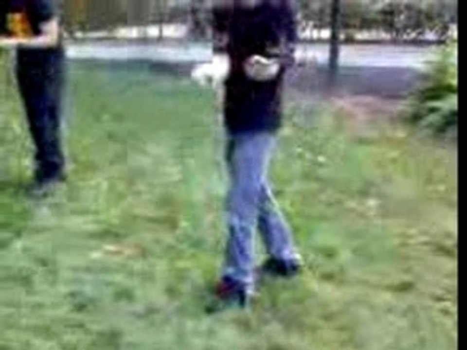 Bolas en folie