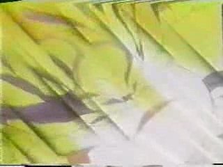 sangoku ssj3