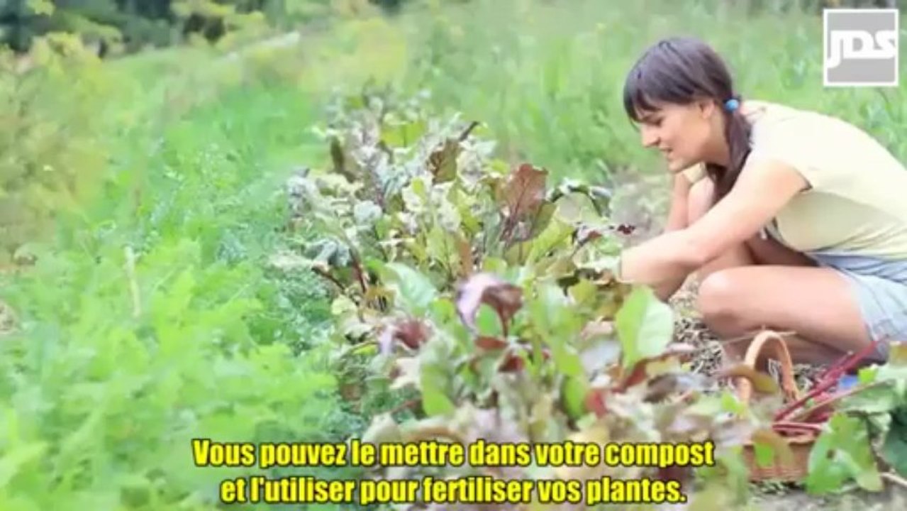 La pile du futur est née, ultra-puissante et biodégradable