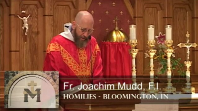 Jul 08 - Homily: Faith of Martyrs
