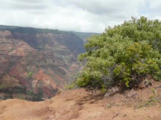 KAUAI, HAWAII 2013 036